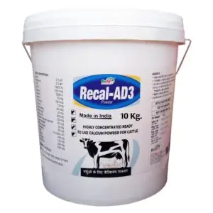 कैल्शियम पाउडर